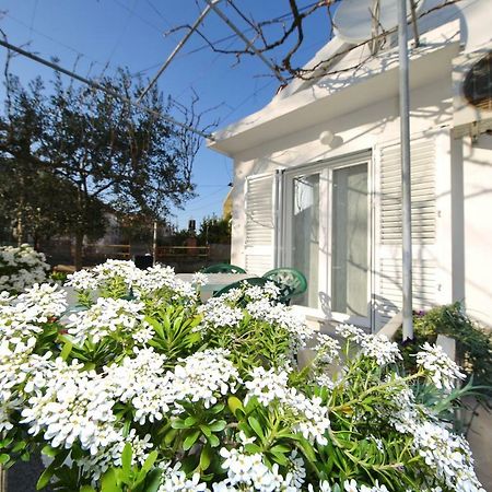 Apartman Antonio Zadar Exterior foto